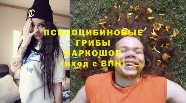 PSILOCYBIN Алексеевка