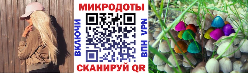 Псилоцибиновые грибы Psilocybe  где купить наркоту  Торопец 